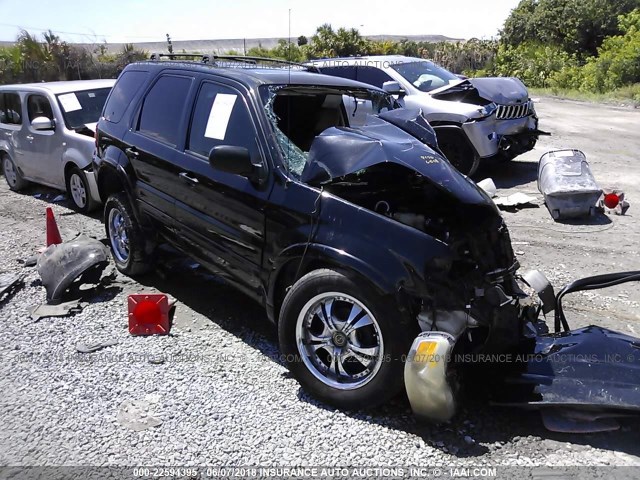 1FMCU04196KA06344 - 2006 FORD ESCAPE LIMITED BLACK photo 1