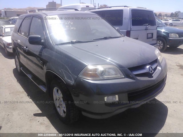 2HNYD18845H525566 - 2005 ACURA MDX TOURING GRAY photo 1