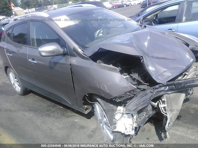 KM8JUCAC3AU042042 - 2010 HYUNDAI TUCSON GLS/LIMITED BROWN photo 1