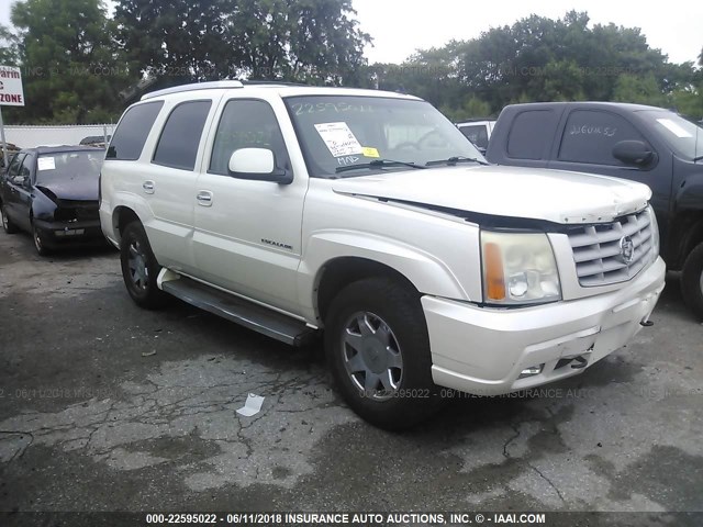 1GYEK63N36R123686 - 2006 CADILLAC ESCALADE LUXURY Ağ foto 1