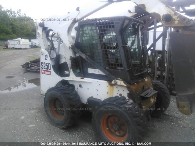 00000000530918871 - 2008 BOBCAT S250  WHITE photo 1