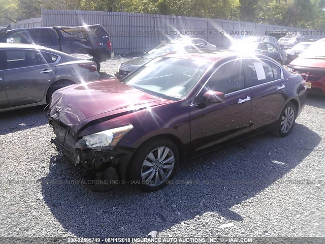 1HGCP3F85BA003319 - 2011 HONDA ACCORD EXL BURGUNDY photo 2