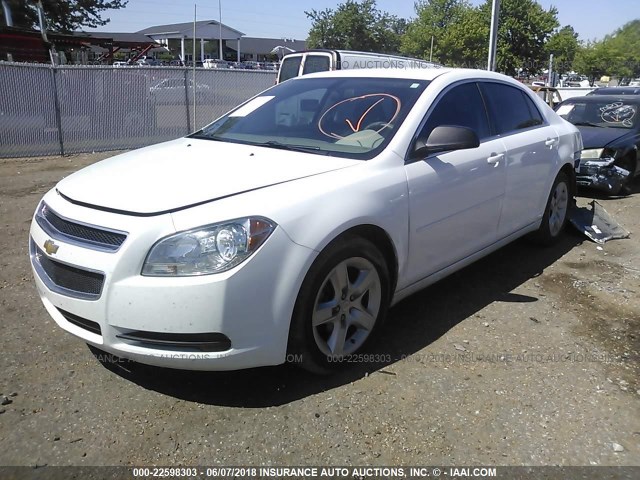 1G1ZA5EU4CF389197 - 2012 CHEVROLET MALIBU LS თეთრი ფოტო 2