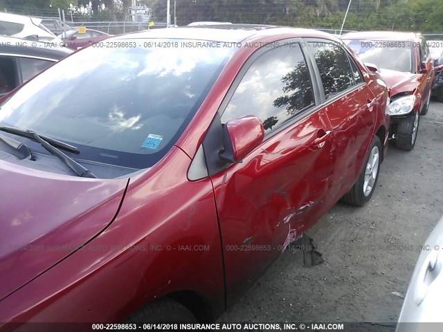 2T1BU4EE3BC664892 - 2011 TOYOTA COROLLA S/LE RED photo 6