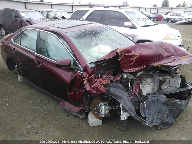 4T1BF1FK4HU647720 - 2017 TOYOTA CAMRY LE/XLE/SE/XSE RED photo 1
