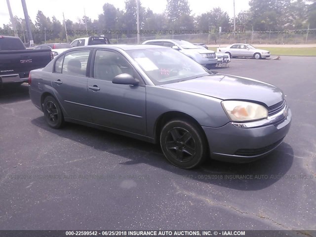 1G1ZT52884F120137 - 2004 CHEVROLET MALIBU LS 灰色 照片 1
