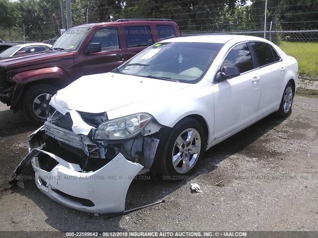 1G1ZA5E00AF105140 - 2010 CHEVROLET MALIBU LS WHITE photo 2