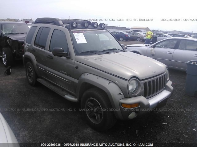 1J4GK38K93W622270 - 2003 JEEP LIBERTY RENEGADE GREEN photo 1