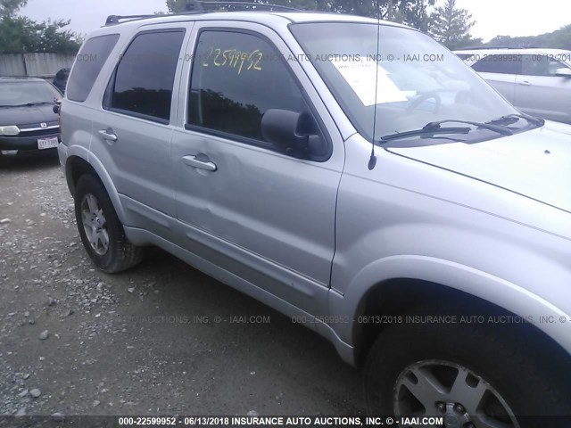 1FMCU94165KB06274 - 2005 FORD ESCAPE LIMITED SILVER photo 6