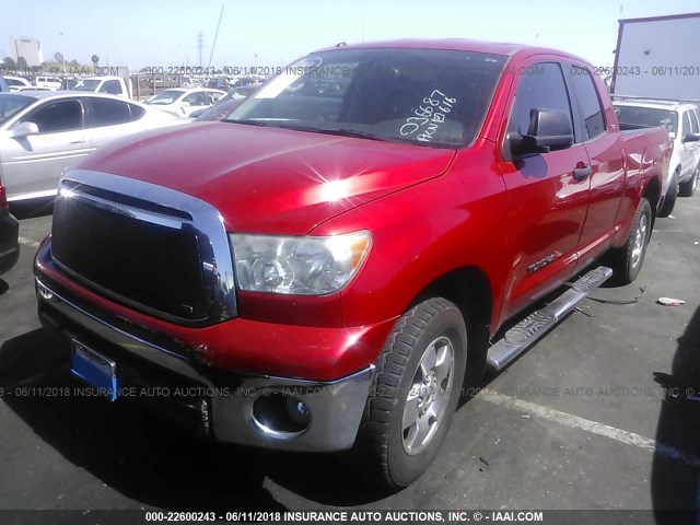5TFUM5F10CX036687 - 2012 TOYOTA TUNDRA DOUBLE CAB SR5 RED photo 2