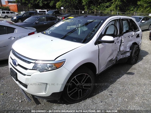 2FMDK3JC8DBA82775 - 2013 FORD EDGE SEL WHITE photo 2