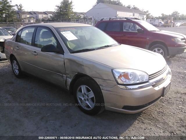 1G1ZT52815F328636 - 2005 CHEVROLET MALIBU LS GOLD photo 1
