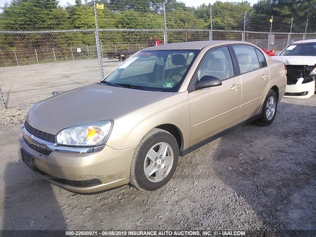 1G1ZT52815F328636 - 2005 CHEVROLET MALIBU LS GOLD photo 2