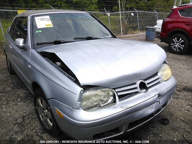 3VWDC21V42M805818 - 2002 VOLKSWAGEN CABRIO GLX 银色 照片 6