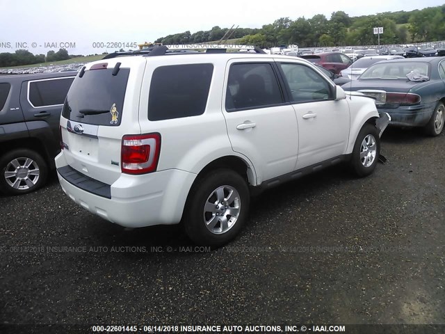 1FMCU9EG1CKA08205 - 2012 FORD ESCAPE LIMITED WHITE photo 4