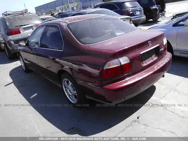 1HGCD5538TA126978 - 1996 HONDA ACCORD LX/EX Burdeos foto 3