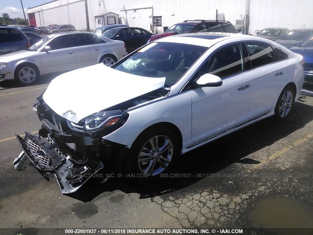 5NPE34AF8JH596700 - 2018 HYUNDAI SONATA SPORT/LIMITED WHITE photo 2