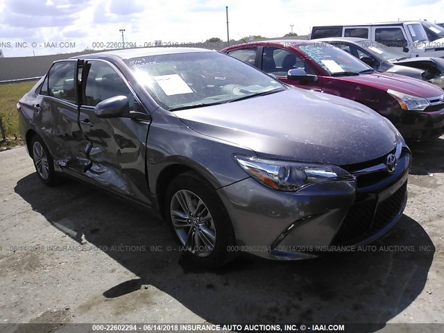 4T1BF1FK7HU430503 - 2017 TOYOTA CAMRY LE/XLE/SE/XSE GRAY photo 1