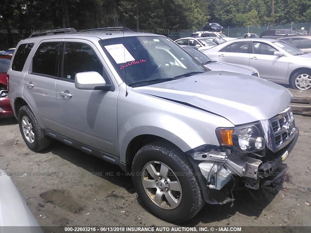 1FMCU04G59KA18435 - 2009 FORD ESCAPE LIMITED SILVER photo 1