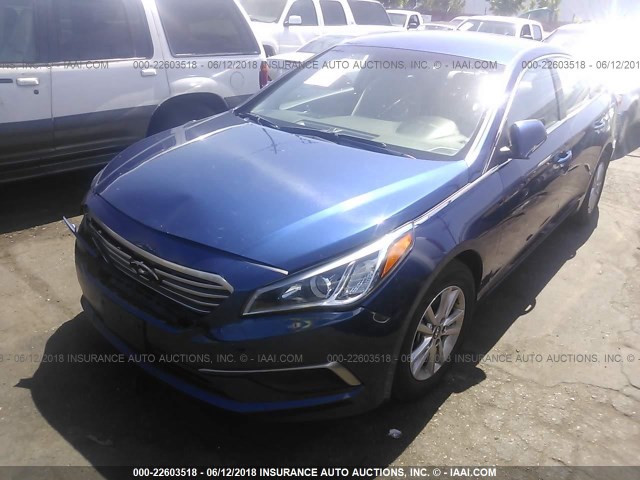 5NPE24AF1GH395992 - 2016 HYUNDAI SONATA SE BLUE photo 2