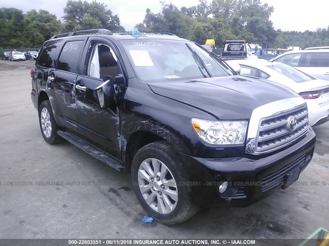 5TDDY5G10DS088640 - 2013 TOYOTA SEQUOIA PLATINUM BLACK photo 1