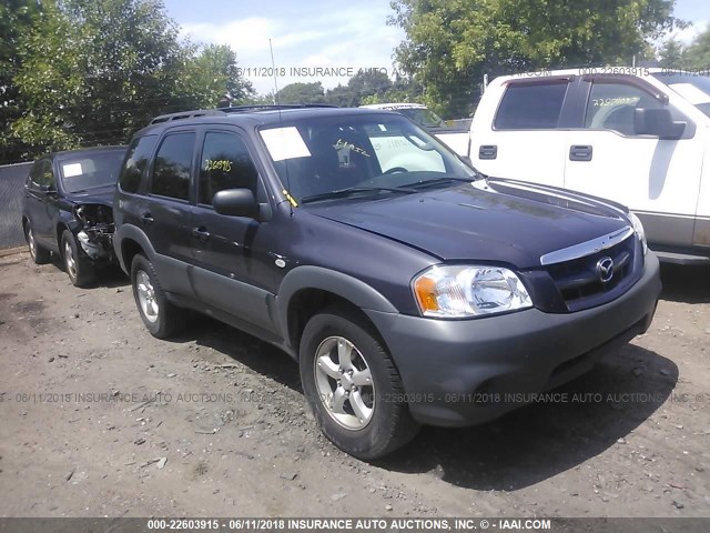 4F2YZ02Z16KM28791 - 2006 MAZDA TRIBUTE I GRAY photo 1