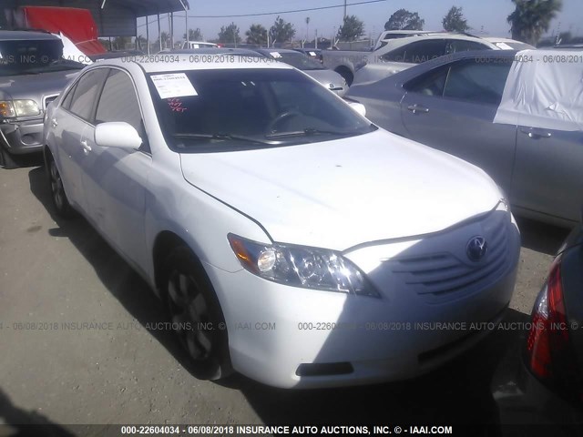 4T1BE46K87U541693 - 2007 TOYOTA CAMRY NEW GENERAT CE/LE/XLE/SE WHITE photo 1