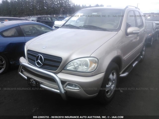 4JGAB57E75A565923 - 2005 MERCEDES-BENZ ML 350 GOLD photo 2