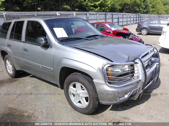 1GNDT13SX32410042 - 2003 CHEVROLET TRAILBLAZER  Pewter photo 1