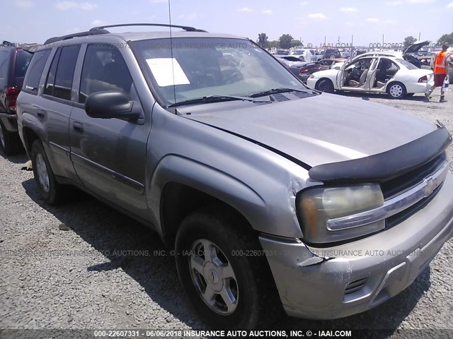 1GNDS13S022237603 - 2002 CHEVROLET TRAILBLAZER  GRAY photo 1