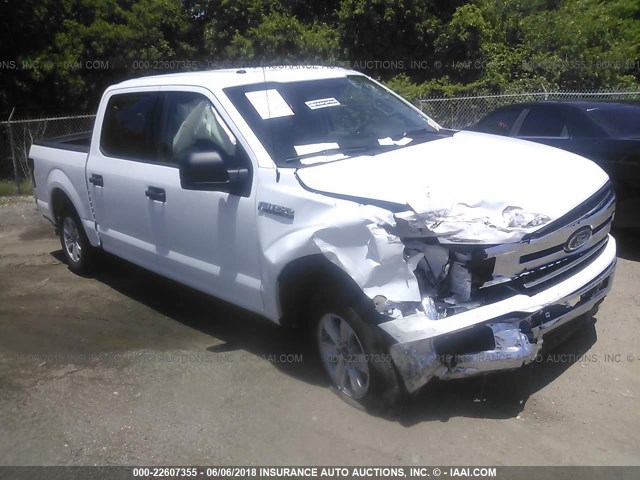 1FTEW1C56JKD71607 - 2018 FORD F150 SUPERCREW WHITE photo 1