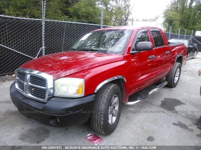 1D7HW58N35S120021 - 2005 DODGE DAKOTA QUAD LARAMIE RED photo 2