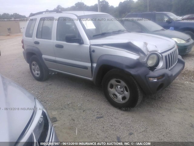 1J4GK48K53W676753 - 2003 JEEP LIBERTY SPORT/FREEDOM ვერცხლისფერი ფოტო 1