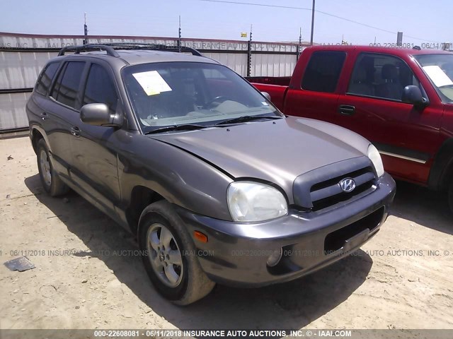 KM8SC13D55U002665 - 2005 HYUNDAI SANTA FE GLS/LX BROWN photo 1