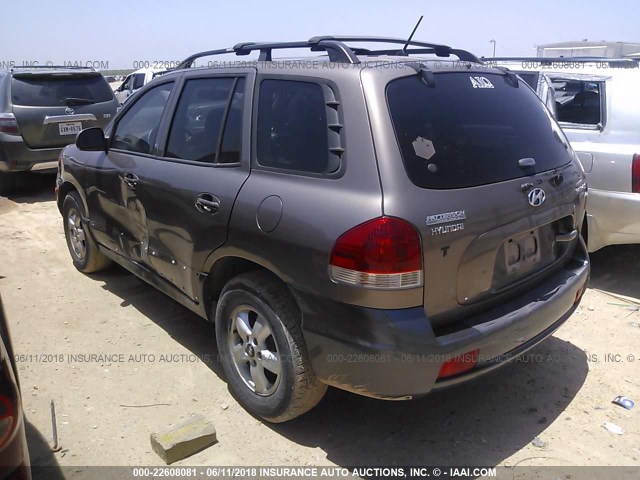 KM8SC13D55U002665 - 2005 HYUNDAI SANTA FE GLS/LX BROWN photo 3