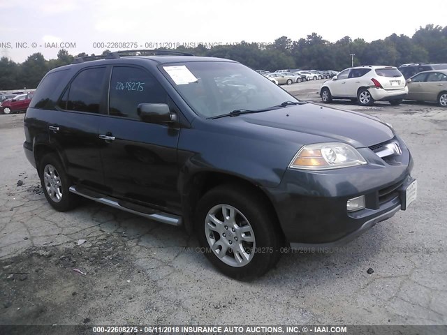 2HNYD18866H546064 - 2006 ACURA MDX TOURING GRAY photo 1