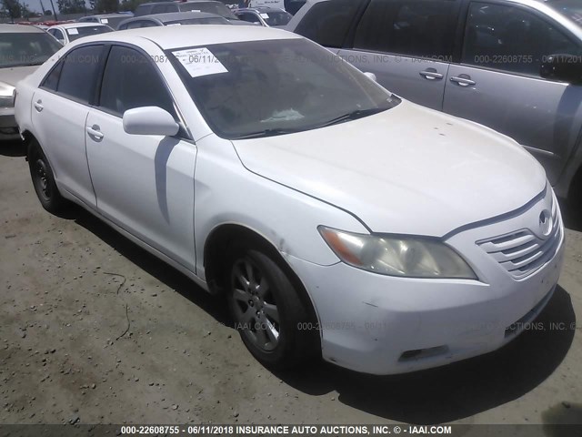 4T4BE46K09R052973 - 2009 TOYOTA CAMRY SE/LE/XLE WHITE photo 1