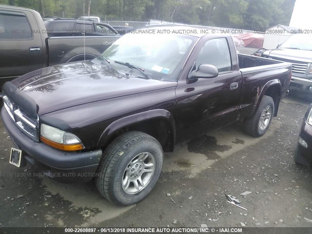 1D7GG16K94S623349 - 2004 DODGE DAKOTA SXT BURGUNDY photo 2