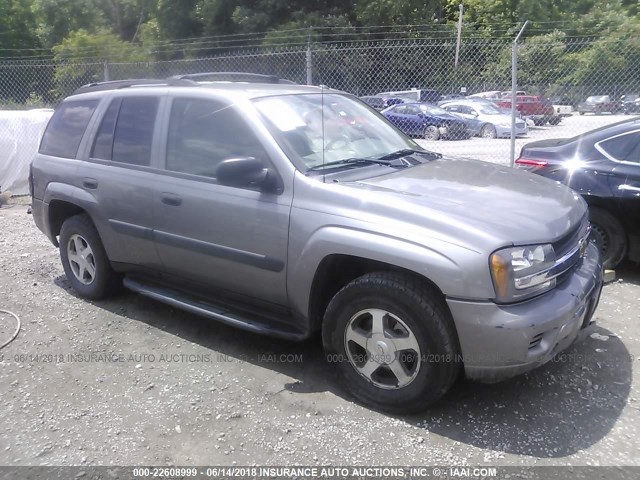 1GNDT13S352264408 - 2005 CHEVROLET TRAILBLAZER LS/LT GRAY photo 1