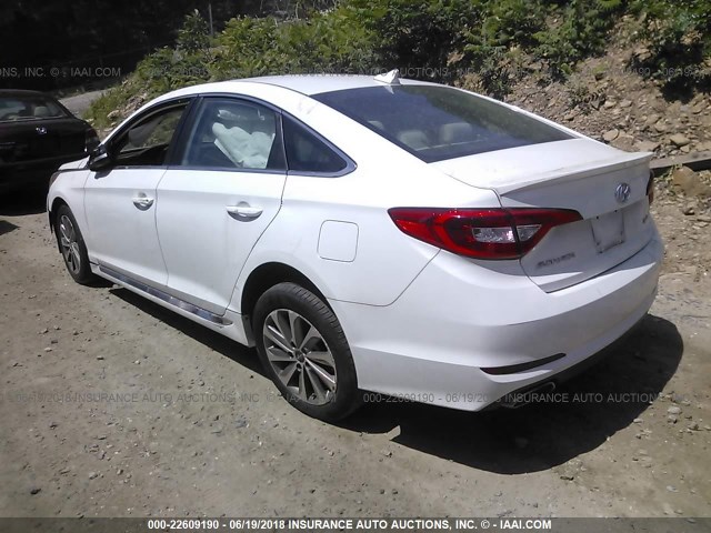 5NPE34AF1GH390398 - 2016 HYUNDAI SONATA SPORT/LIMITED WHITE photo 3