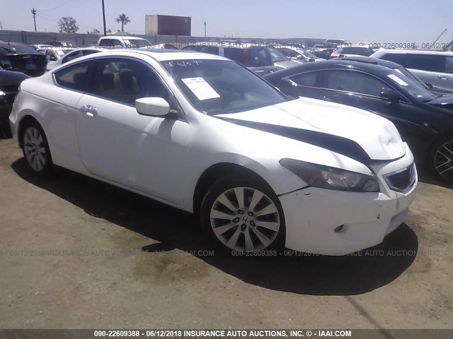 1HGCS22828A010672 - 2008 HONDA ACCORD EXL WHITE photo 1