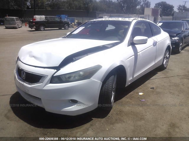 1HGCS22828A010672 - 2008 HONDA ACCORD EXL WHITE photo 2