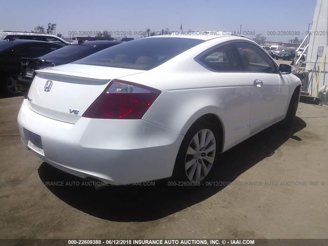 1HGCS22828A010672 - 2008 HONDA ACCORD EXL WHITE photo 4