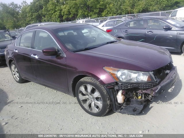 1HGCP36868A024270 - 2008 HONDA ACCORD EXL RED photo 1