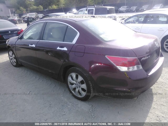 1HGCP36868A024270 - 2008 HONDA ACCORD EXL RED photo 3