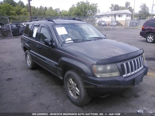 1J4GW48S54C376654 - 2004 JEEP GRAND CHEROKEE LAREDO/COLUMBIA/FREEDOM ნაცრისფერი ფოტო 1