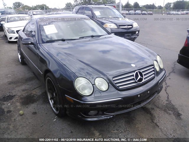 WDBPJ75J82A029344 - 2002 MERCEDES-BENZ CL 500 GRAY photo 1