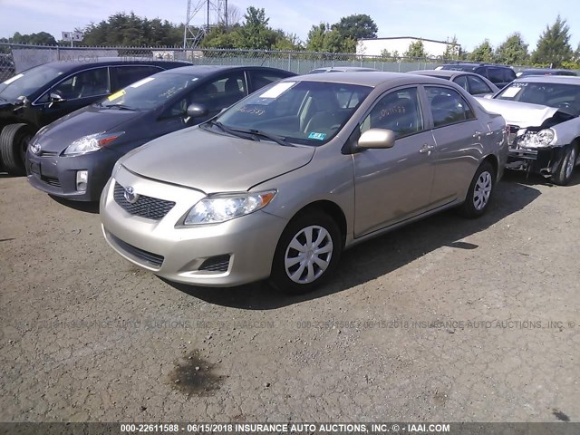 2T1BU4EE4AC517883 - 2010 TOYOTA COROLLA S/LE/XLE GOLD photo 2