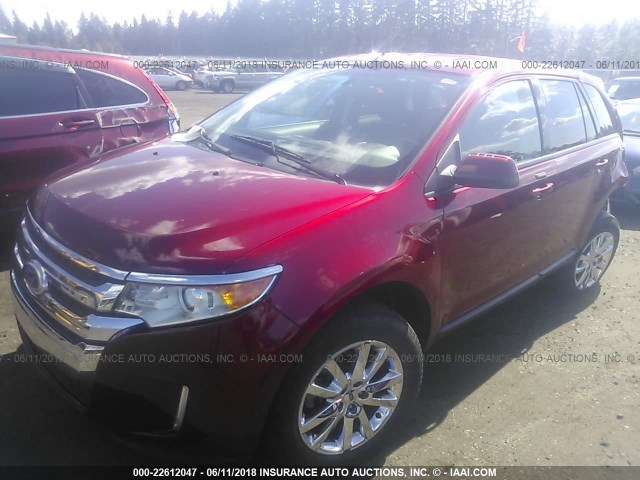 2FMDK4JC6EBB62759 - 2014 FORD EDGE SEL RED photo 2