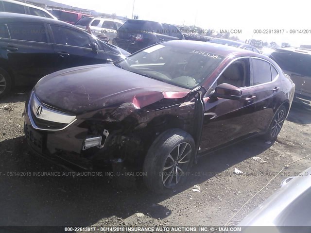 19UUB2F57FA015433 - 2015 ACURA TLX TECH MAROON photo 2